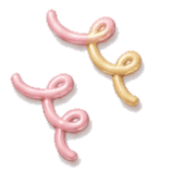 025