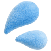 020