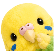 032