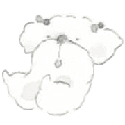 004