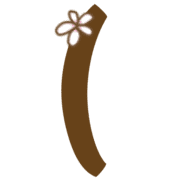 234