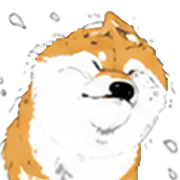 007