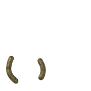 048