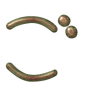 060