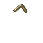 231