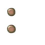 244