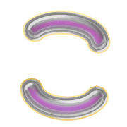 010