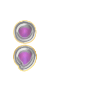 243