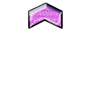 231
