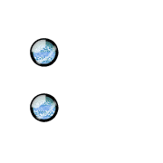 244
