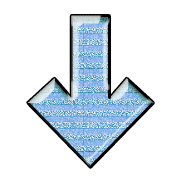 261