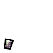 245