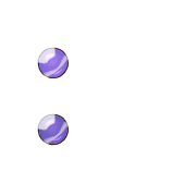 244