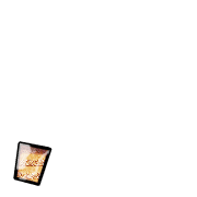 245