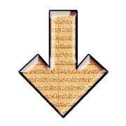 261