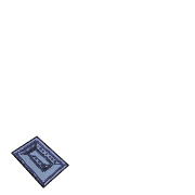 256