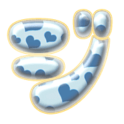 142