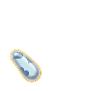 256
