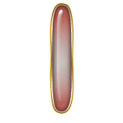 242