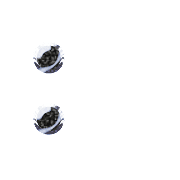 244