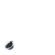 246