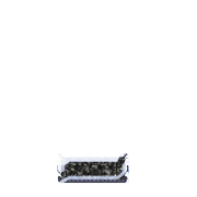 250