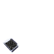 256