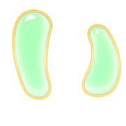002