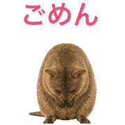 031