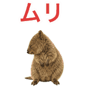 040