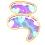 003