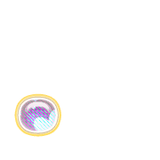 246