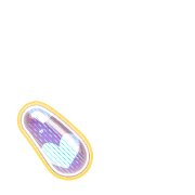 256
