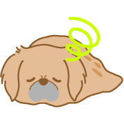 010