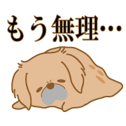 020