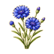 005