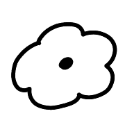 007