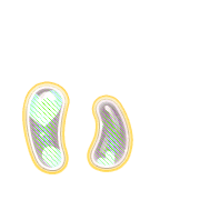 048