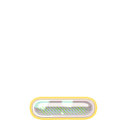 250