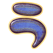 003