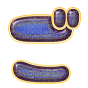 060