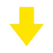 261