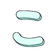 010