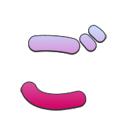 060