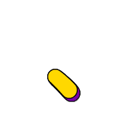 256