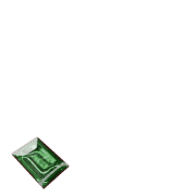256