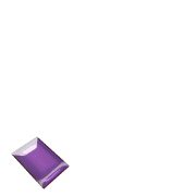 256