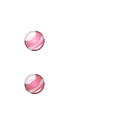 244