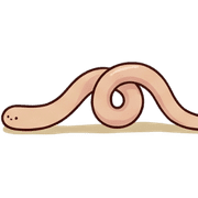 038