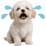 026